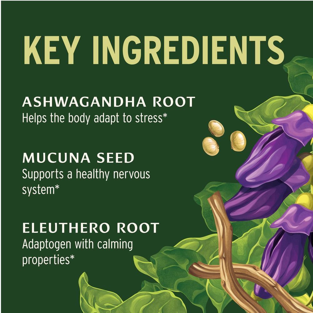 Banyan Botanicals Adrenal Nourish capsules shown for daily energy support.