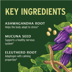 Banyan Botanicals Adrenal Nourish capsules shown for daily energy support.