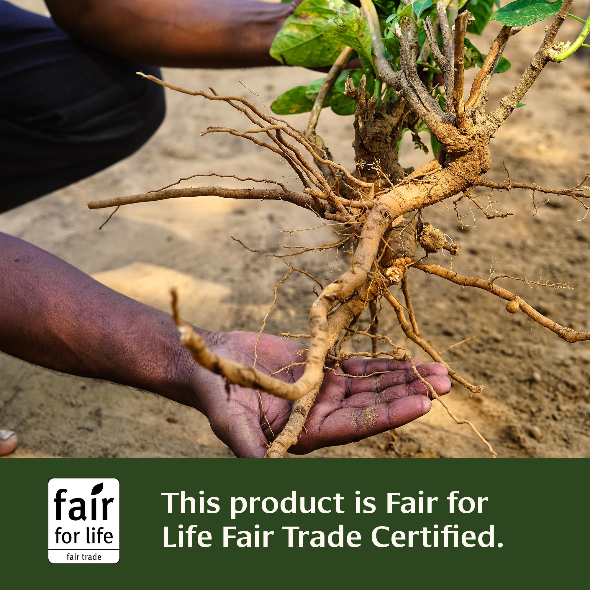 Banyan Botanicals Adrenal Nourish packaging on wood emphasizes sustainable sourcing.