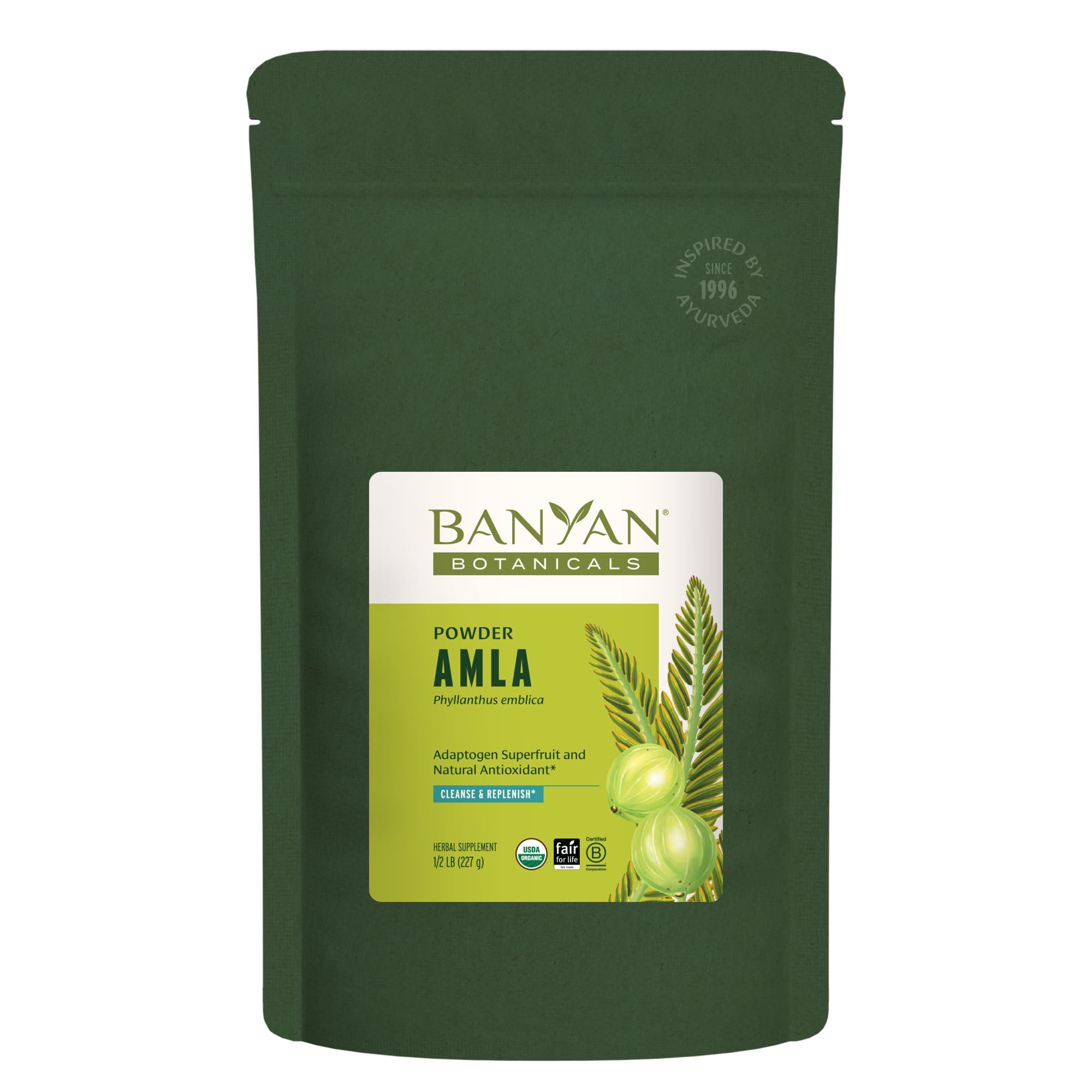 Banyan Botanicals Amla powder bottle shows premium organic amla for daily nutrition and antioxidants.