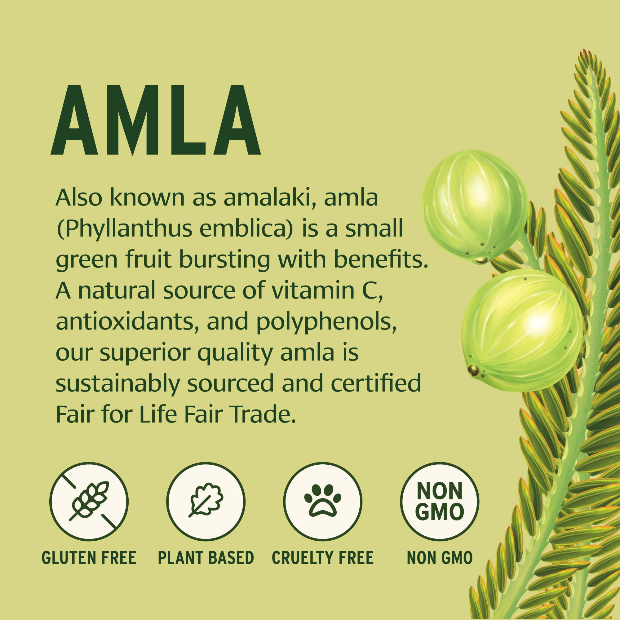 Banyan Botanicals Amla powder closeup highlights organic, non-GMO quality and texture.