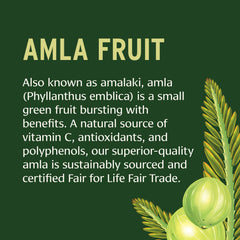 Close-up of amla fruit powder used in Banyan Botanicals tablets for natural antioxidants.