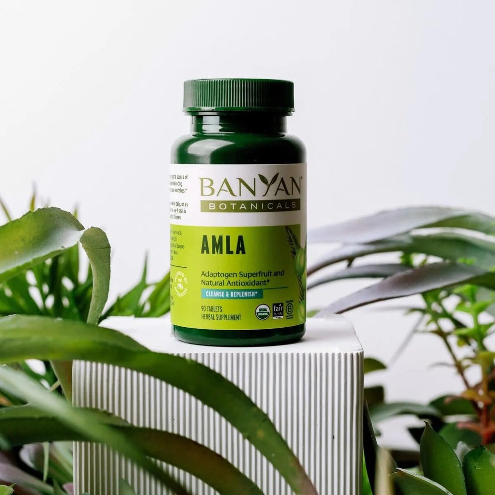 Amla tablets close-up showing tablet texture and form from Banyan Botanicals.