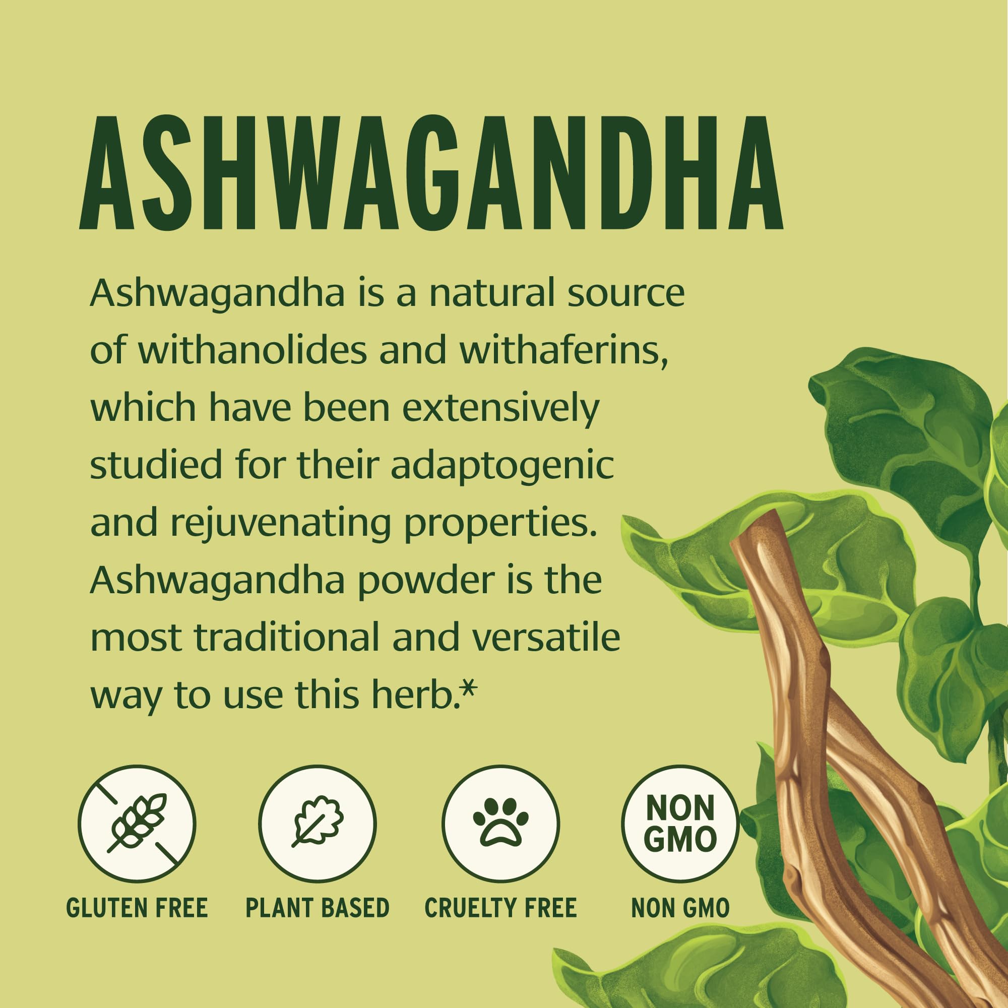 Banyan Botanicals Ashwagandha powder closeup with organic root texture