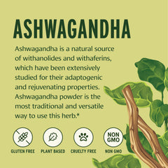 Banyan Botanicals Ashwagandha powder closeup with organic root texture