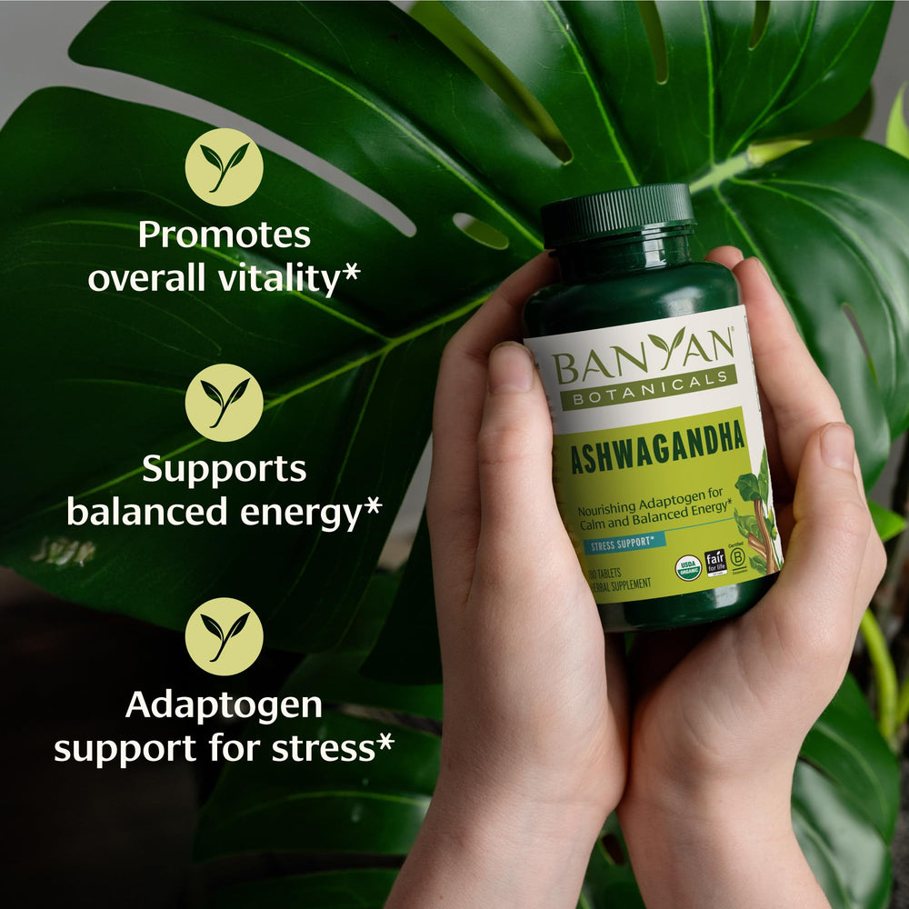 Close-up of Banyan Botanicals Ashwagandha root powder in tablets