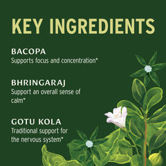 Banyan Botanicals Bacopa and Brahmi tablets close-up for memory support