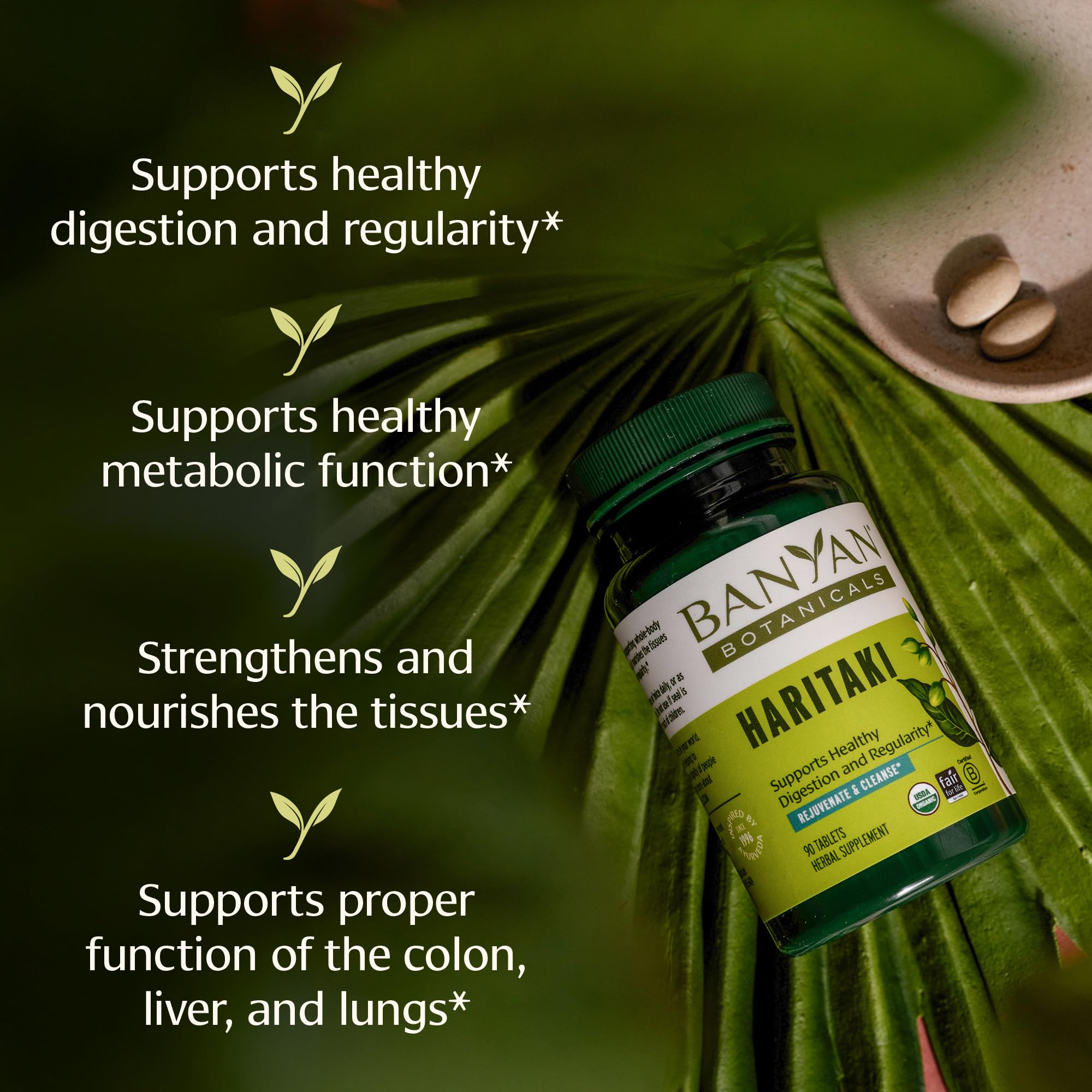 Banyan Botanicals Haritaki bottle highlighting organic, high-quality herbal support.