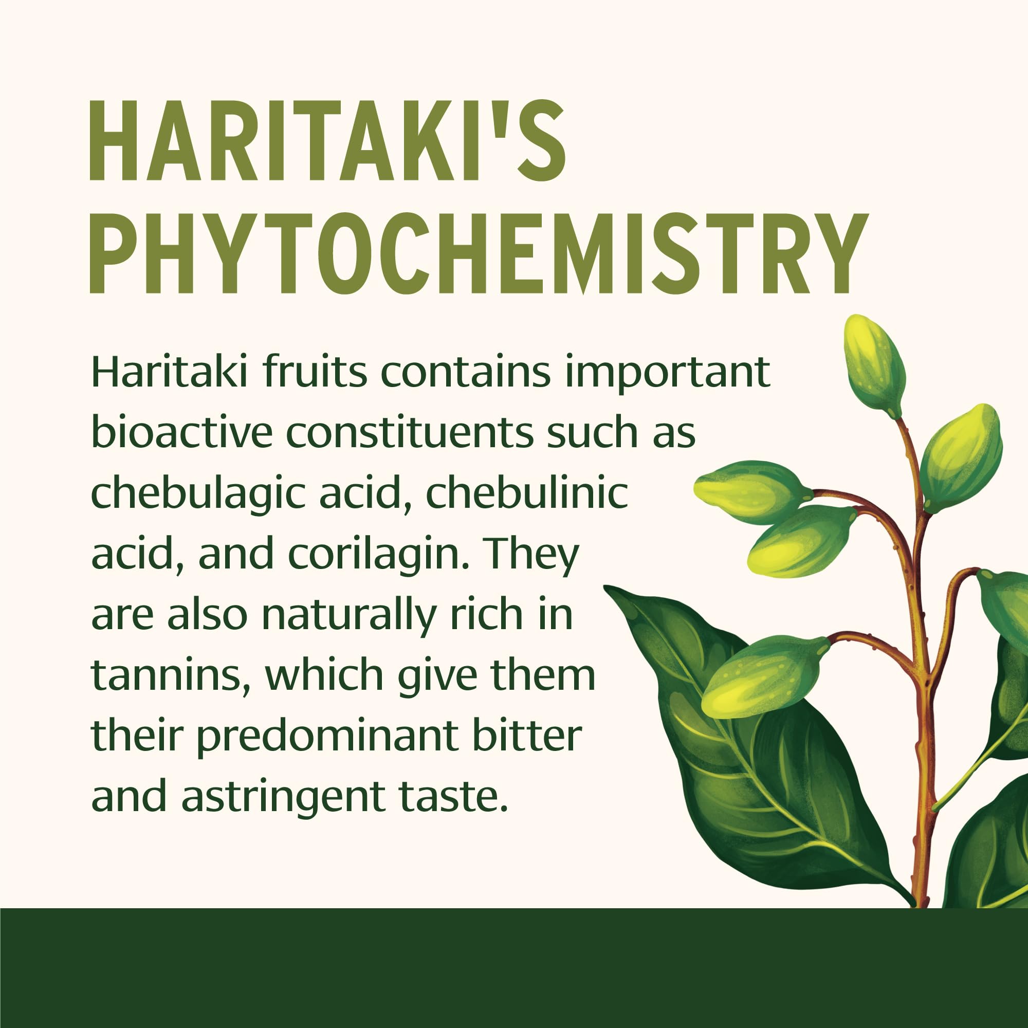 Close-up of Haritaki label showing organic certification and cleansing potential.