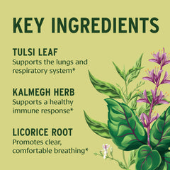 Immune Strong tablets close-up highlighting vegan, non-GMO formula for daily use.