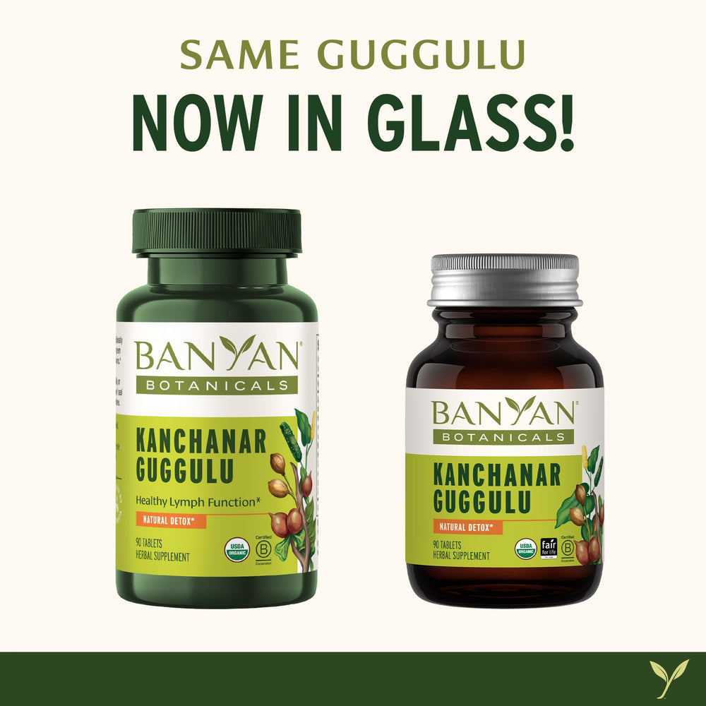 Kanchanar Guggulu organic triphala panel suggesting gentle cleansing synergy