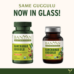Kanchanar Guggulu organic triphala panel suggesting gentle cleansing synergy