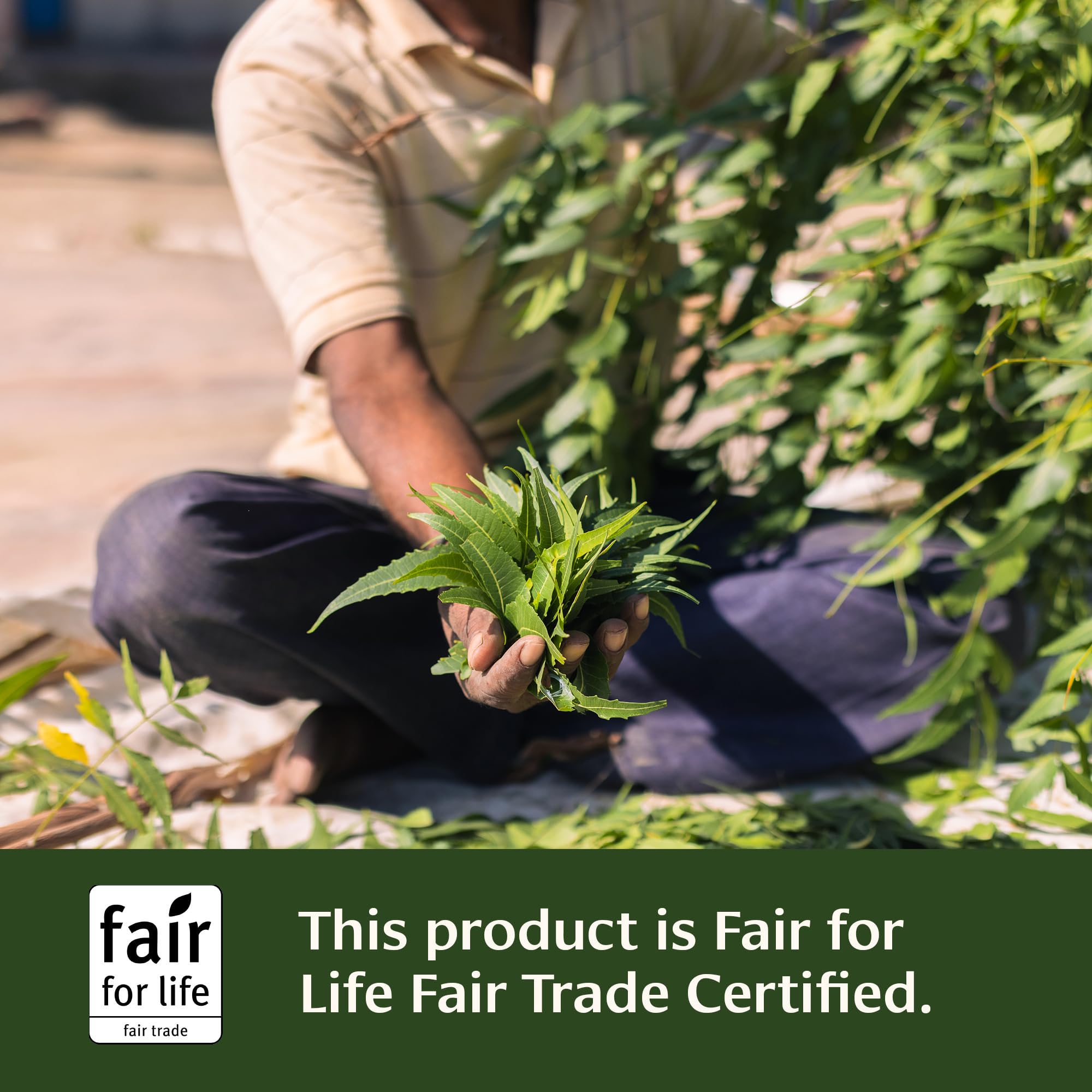 Banyan Botanicals Neem Tablets label displays certifications and trust signals.