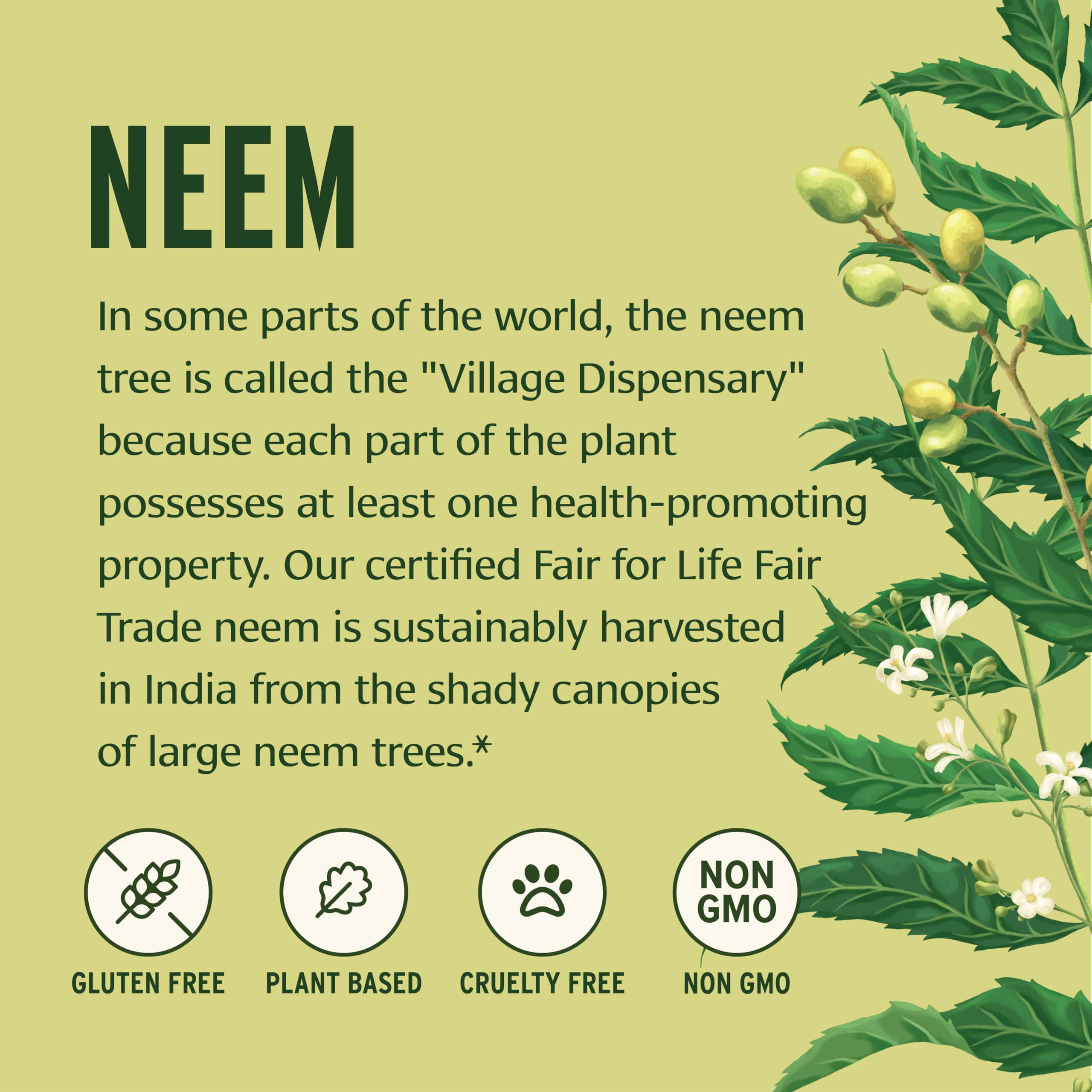Banyan Botanicals Neem Tablets closeup of uncoated tablets suitable for tasting.