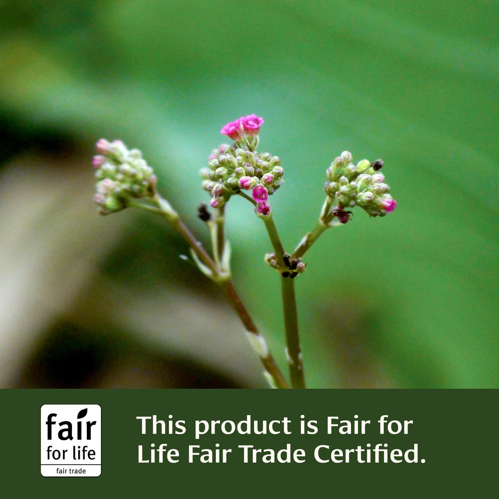 Punarnava powder packaging conveys organic quality for sustainable self-care.