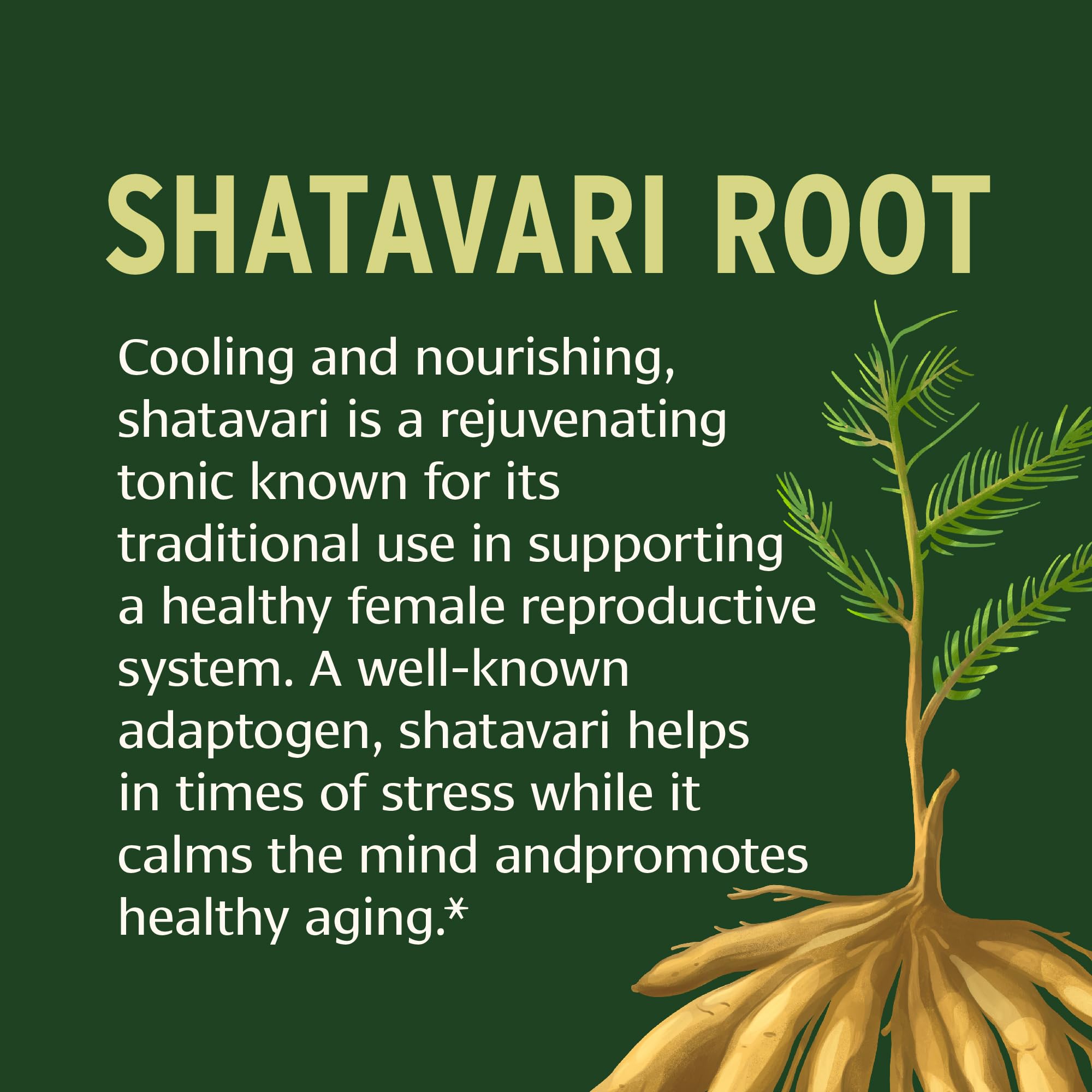 Banyan Botanicals Shatavari Tablets tablets close-up shows individual pills for easy dosing.