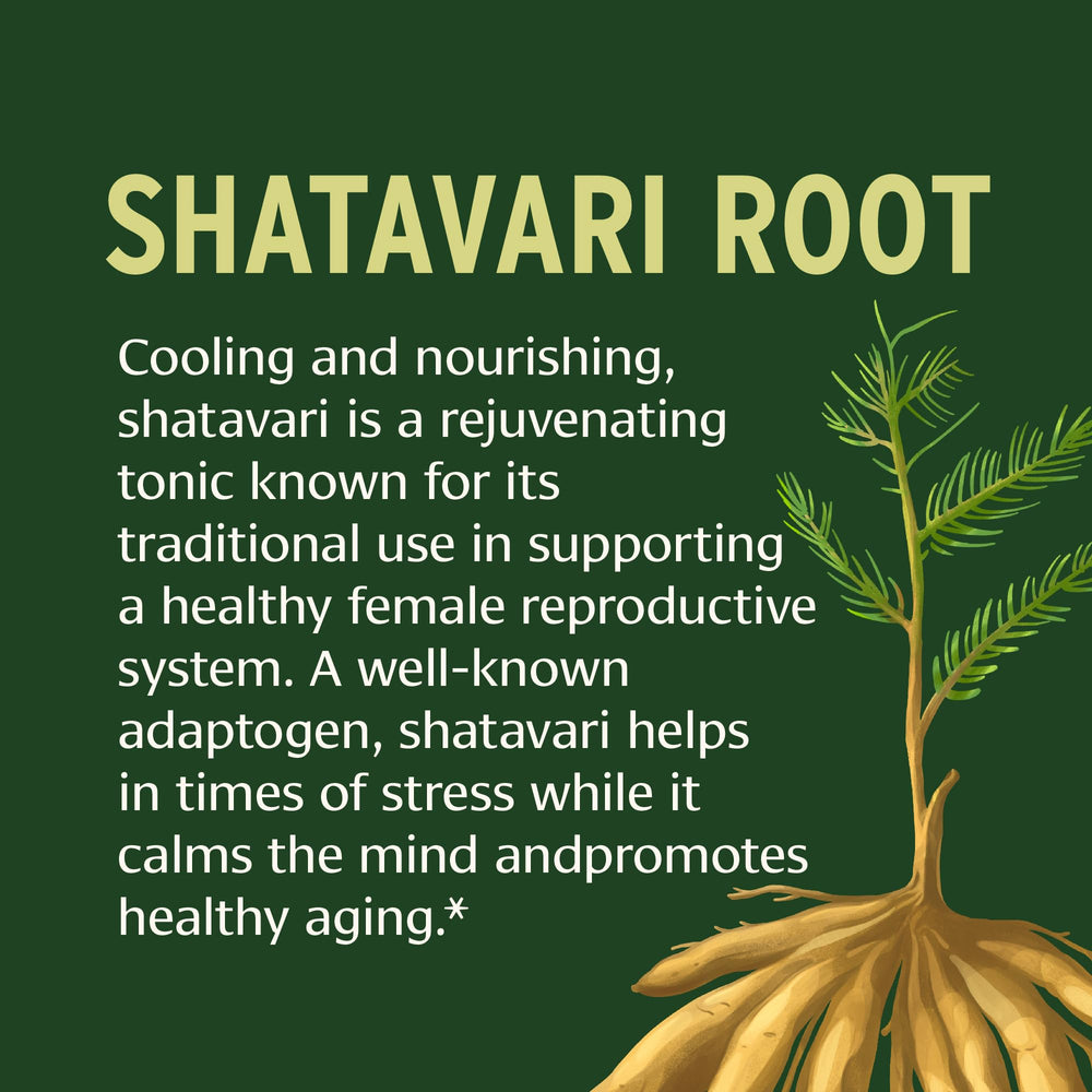 Banyan Botanicals Shatavari Tablets tablets close-up shows individual pills for easy dosing.