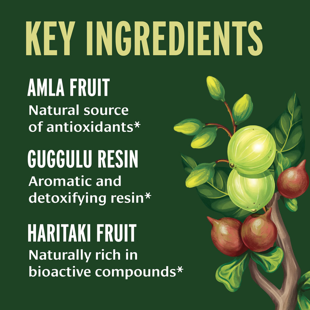 Organic bibhitaki haritaki amla ingredients showcased for Triphala Guggulu