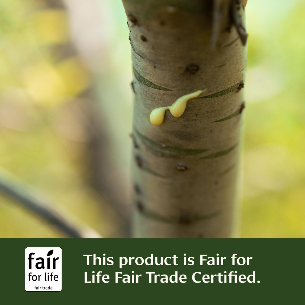 Banyan Botanicals Triphala Guggulu packaging highlighting eco‑friendly design