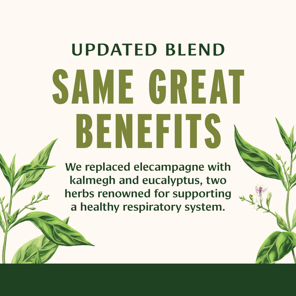 Dried tulsi leaves showcased to highlight calming, breath-friendly herbs.