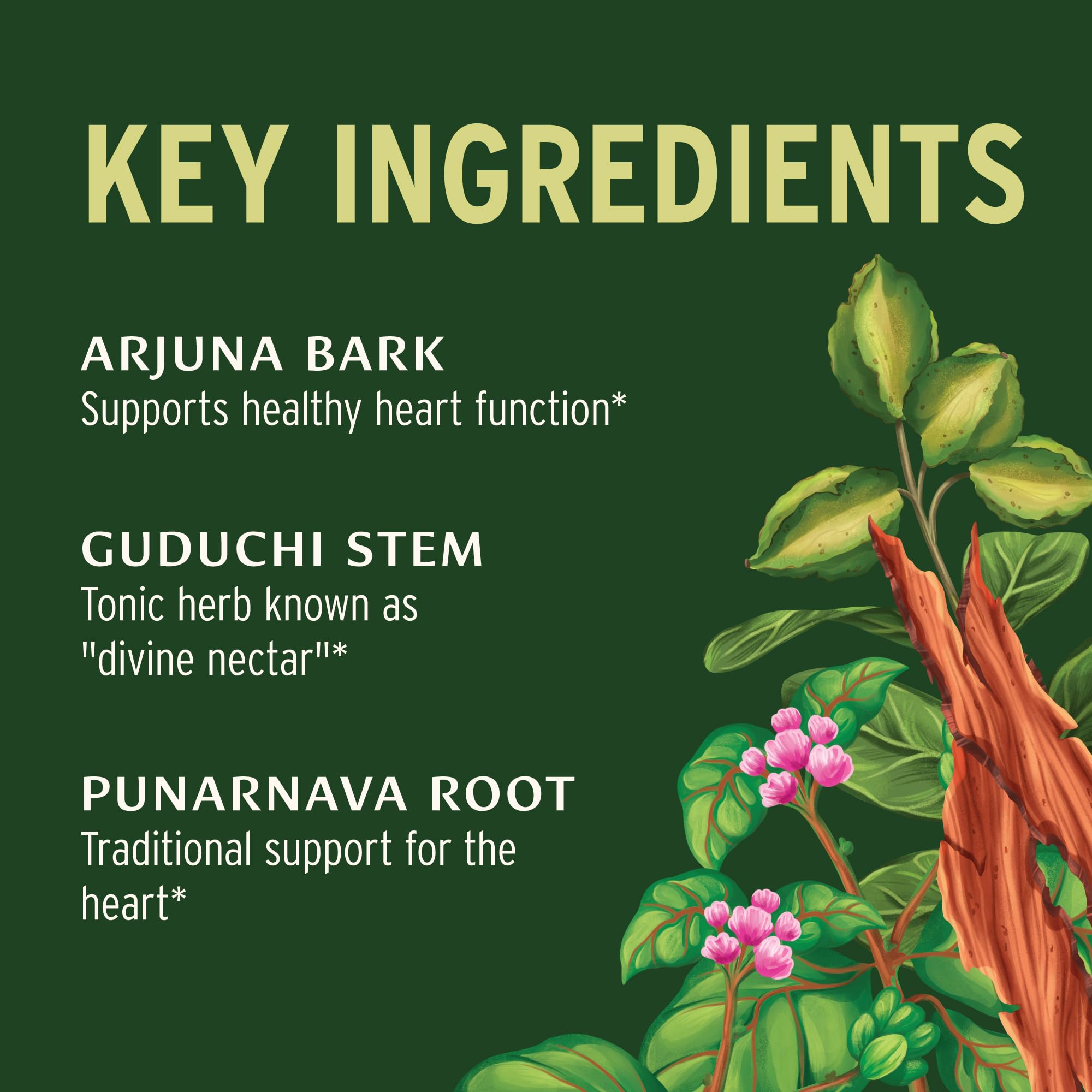 Banyan Heart Formula arjuna bark image signals herbal support for cardiovascular balance.