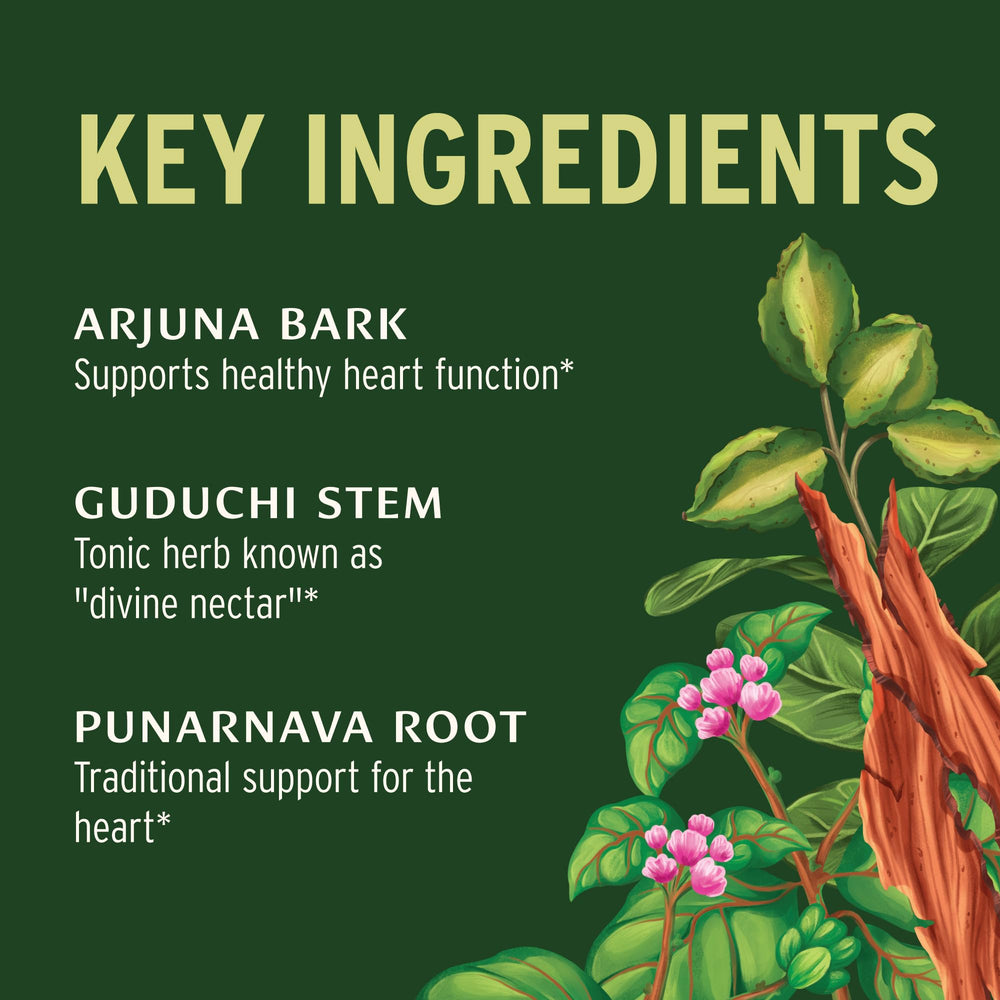 Banyan Heart Formula arjuna bark image signals herbal support for cardiovascular balance.