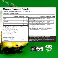 BARE PERFORMANCE NUTRITION Strong Greens scoop ready for a quick energy and focus boost.