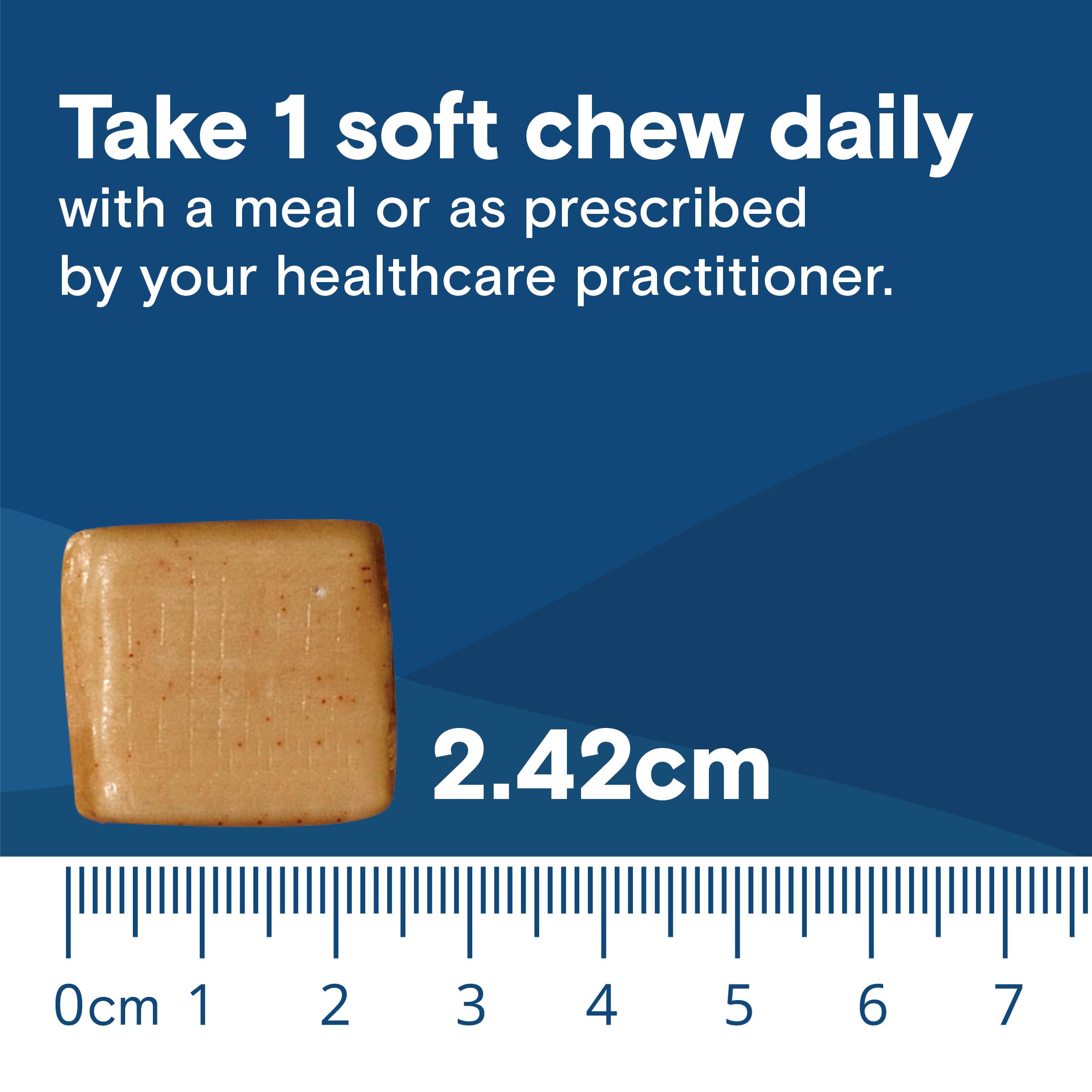 Bariatric Fusion calcium chews travel-friendly bottle for on-the-go routines
