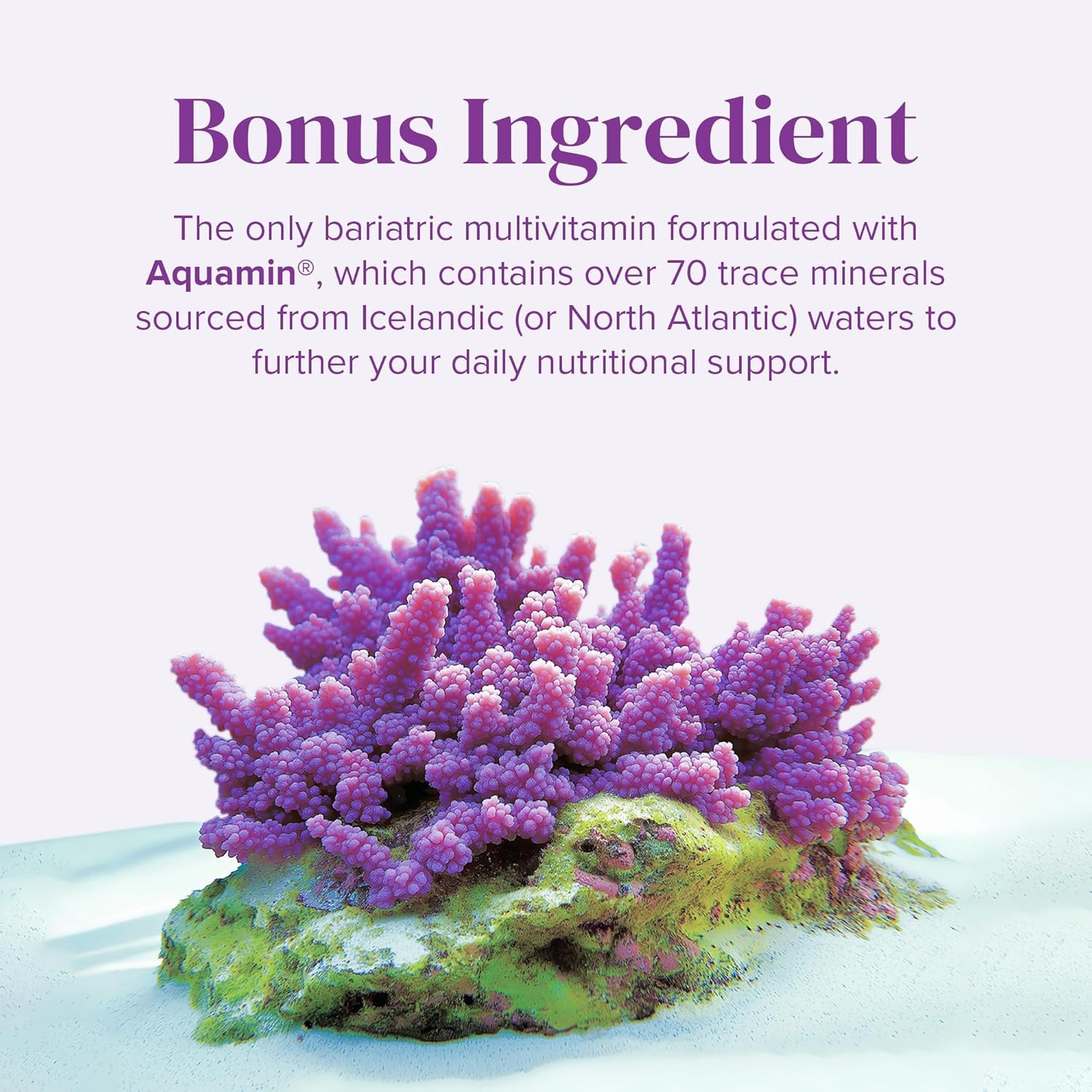 BariMelts label emphasizes dairy-free, gluten-free, and no artificial colors.