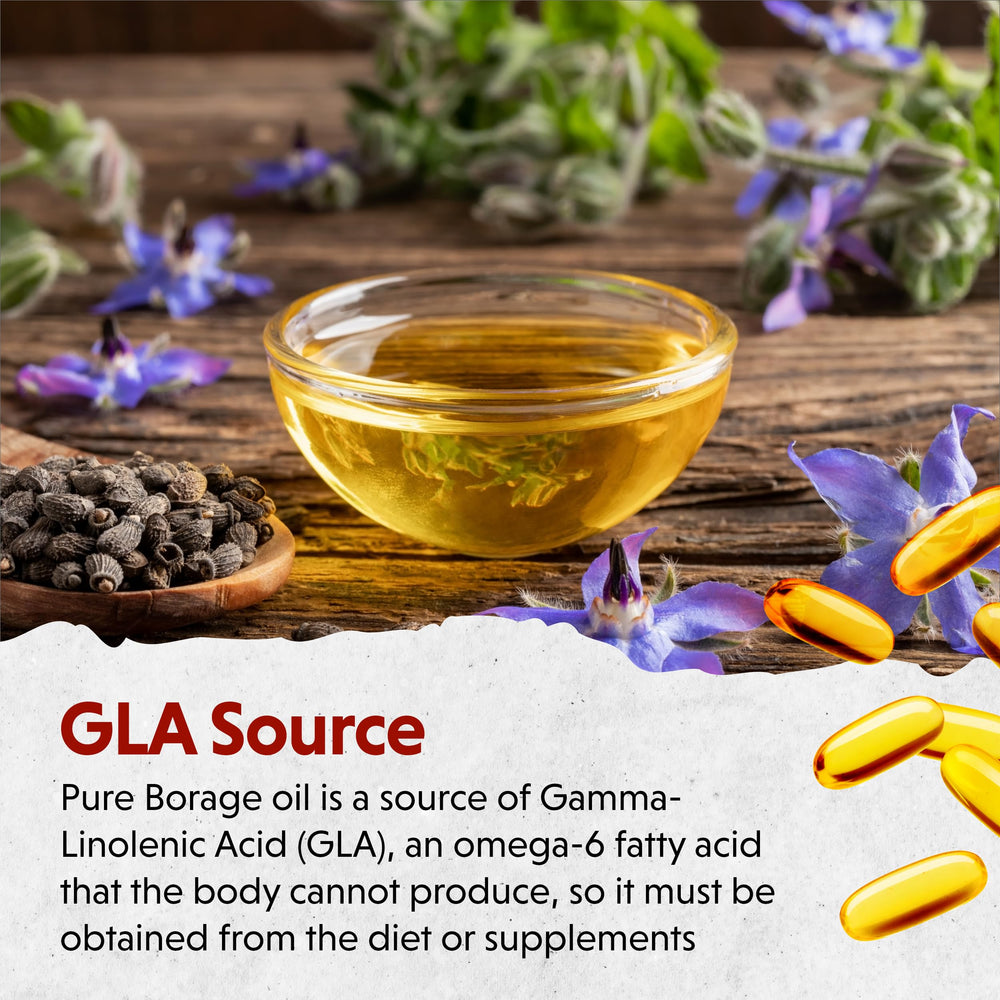 Barlean's Borage Oil process image emphasizing hexane-free, simple ingredients