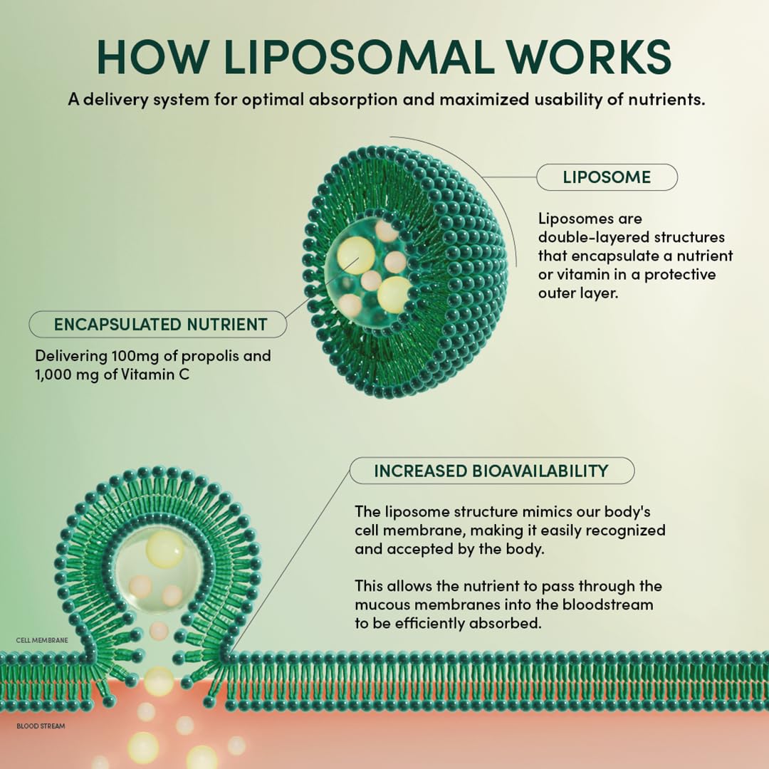 Liposomal delivery illustration for Beekeeper's Naturals Brain Health features