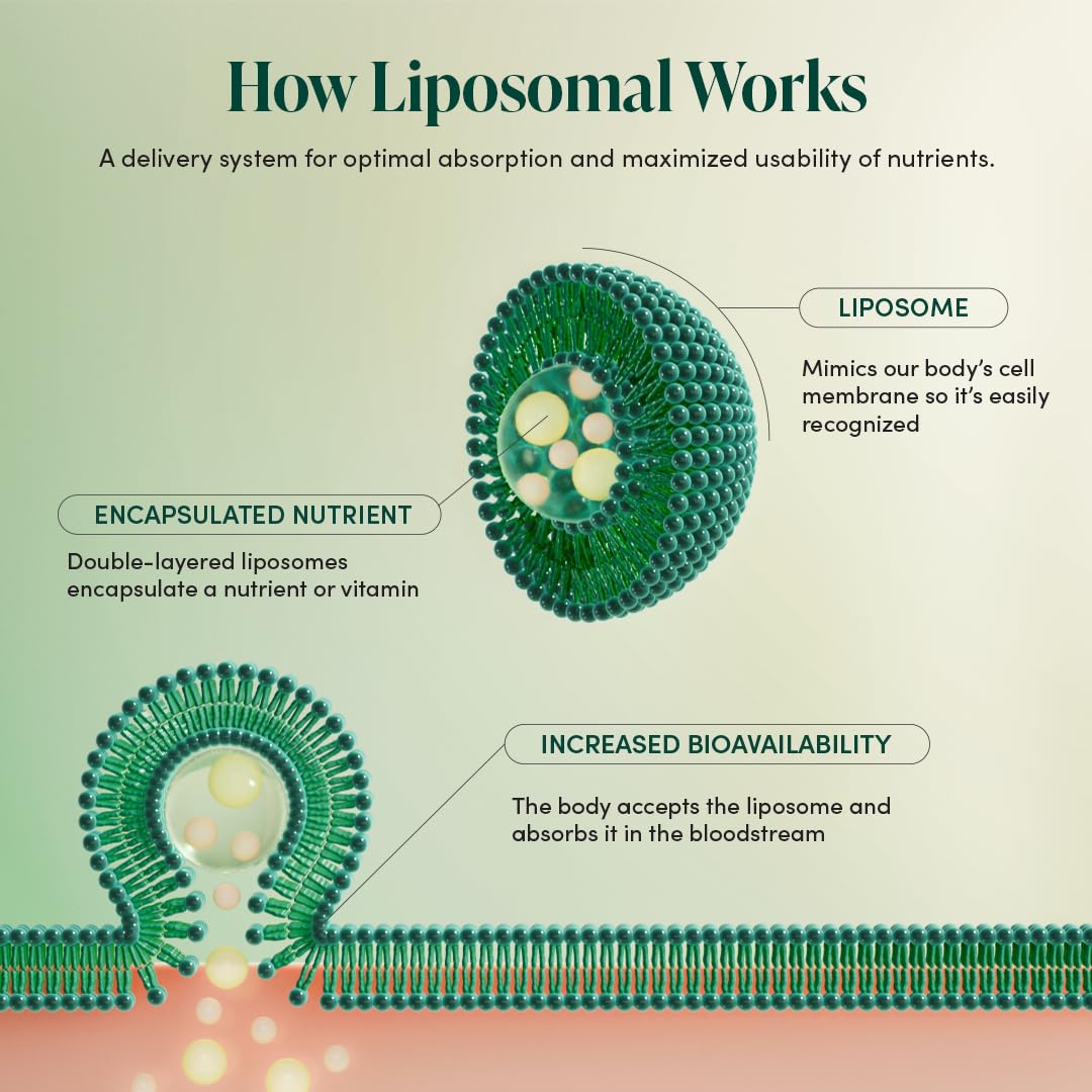 Beekeeper's Naturals liposomal delivery enhances absorption for daily immune support.