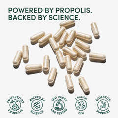 Beekeepers Naturals probiotic spore-based MegaDuo visual emphasizing gut resilience.