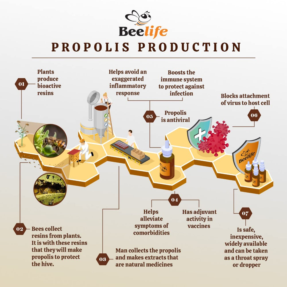 Beelife Propoflex bottle on Brazilian origin packaging