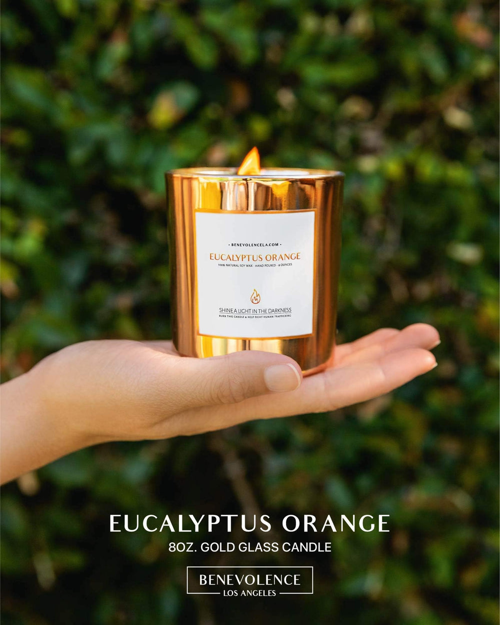 Benevolence LA soy candle delivers a bright holiday aroma with citrus and herbal notes