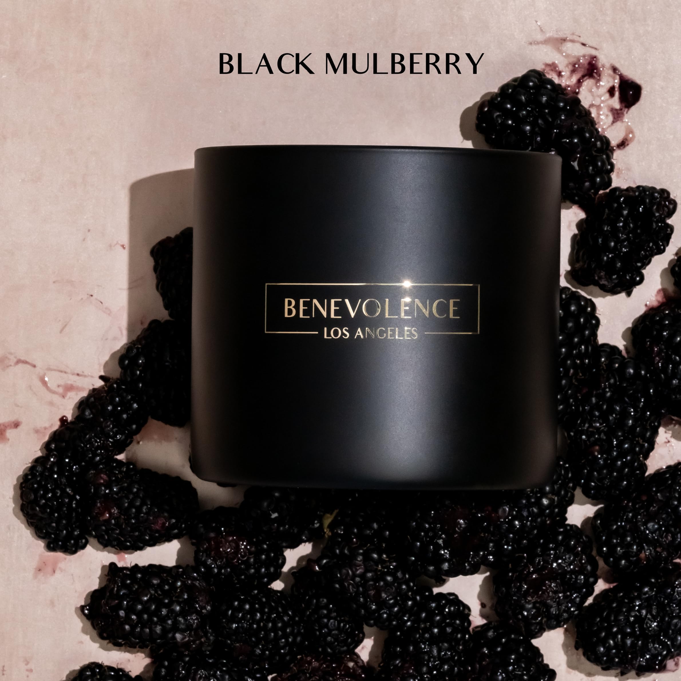 Benevolence LA 14.5 oz soy candle for cozy, long-lasting fragrance.
