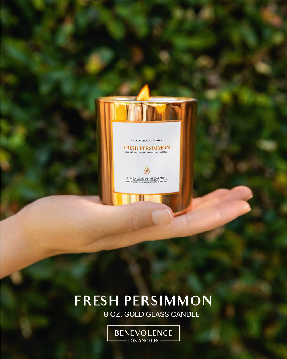 Benevolence LA Soy wax close-up wood wick highlights clean burn and premium scent.