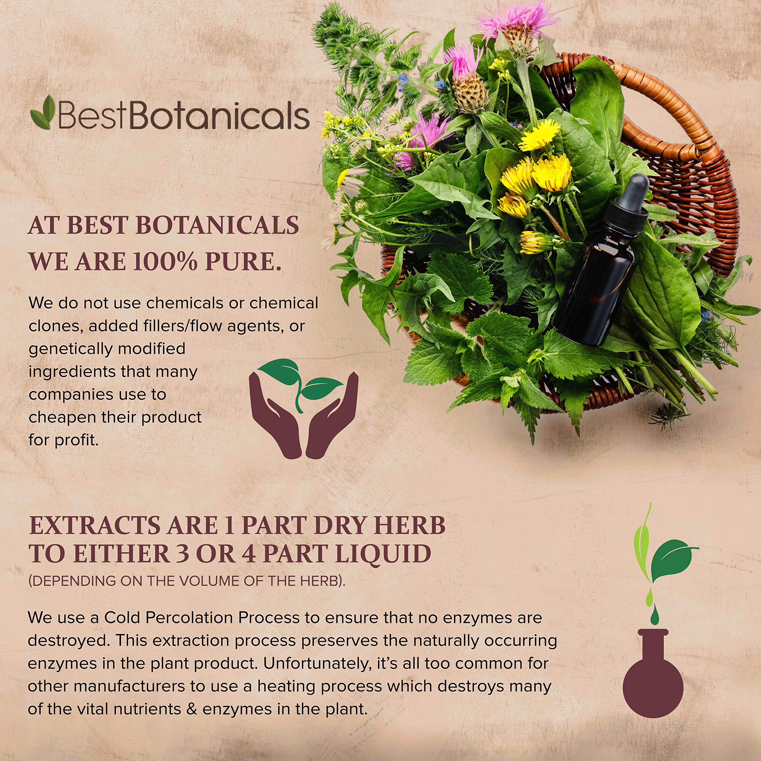 Best Botanicals Poke Root Extract being poured for tincture use.