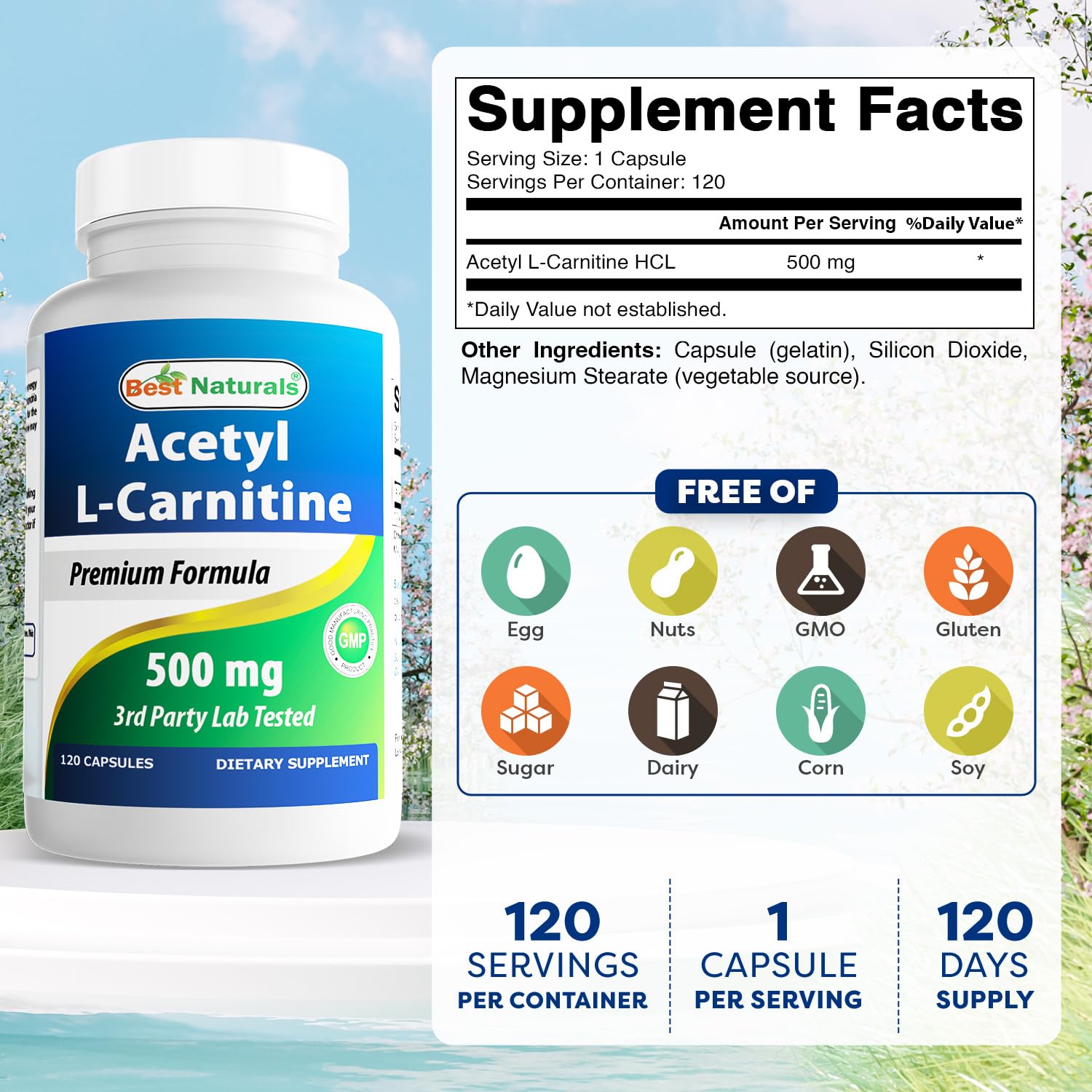 Best Naturals Acetyl L-Carnitine 500mg capsules close-up showing easy dosing
