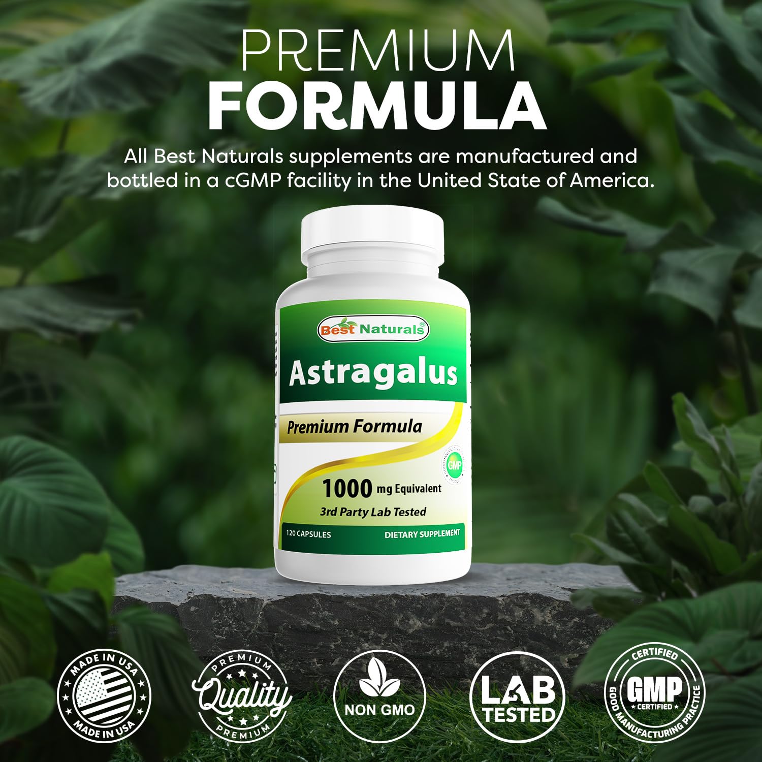 Best Naturals Astragalus capsules in hand for daily use.