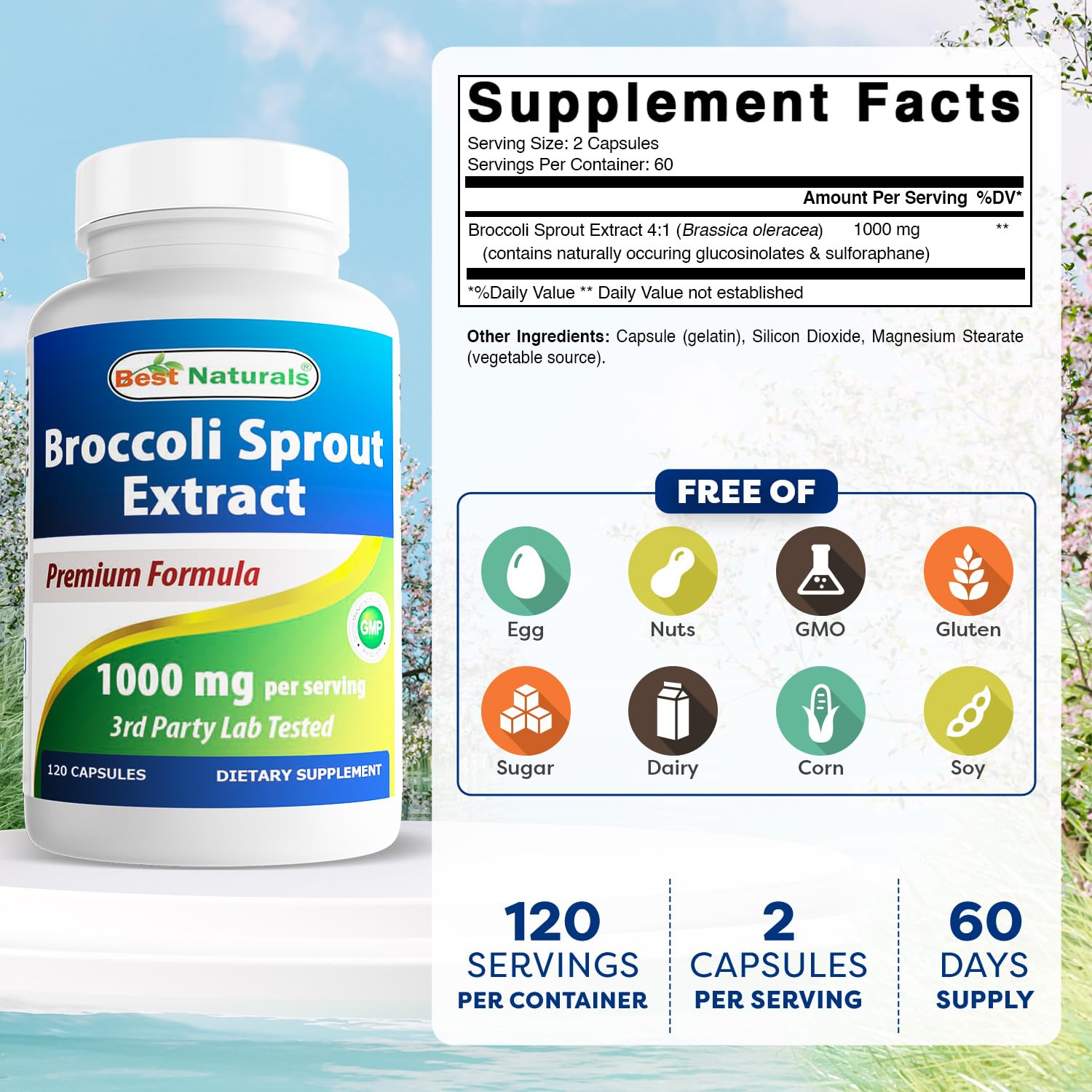 Capsules of Best Naturals broccoli sprouts extract ready for daily use.