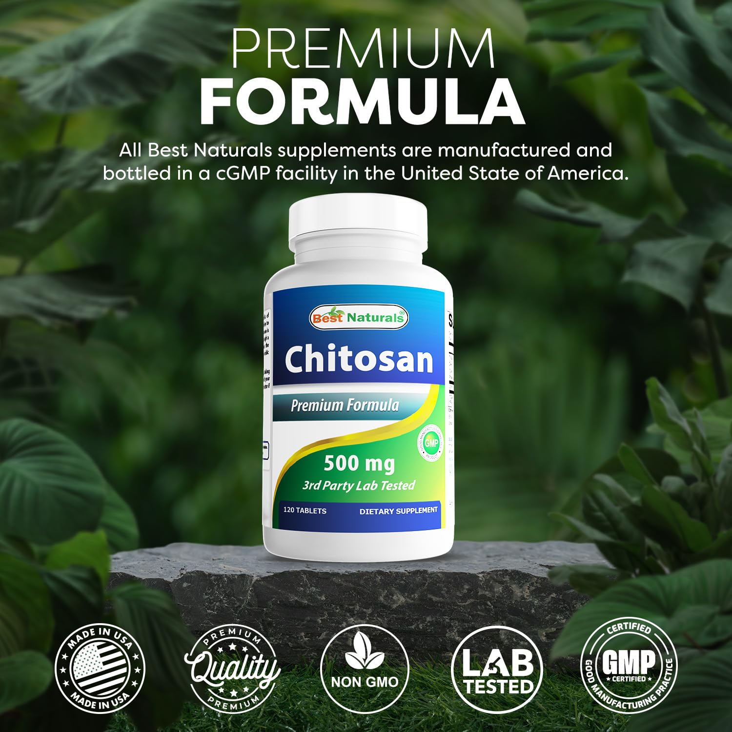 Best Naturals Chitosan non-GMO seal indicating purity.