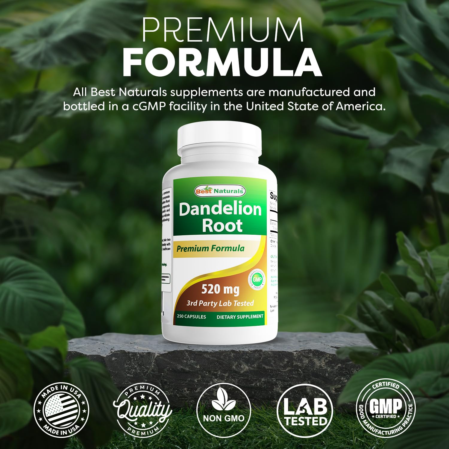 Best Naturals Dandelion Root US facility image signaling quality manufacturing