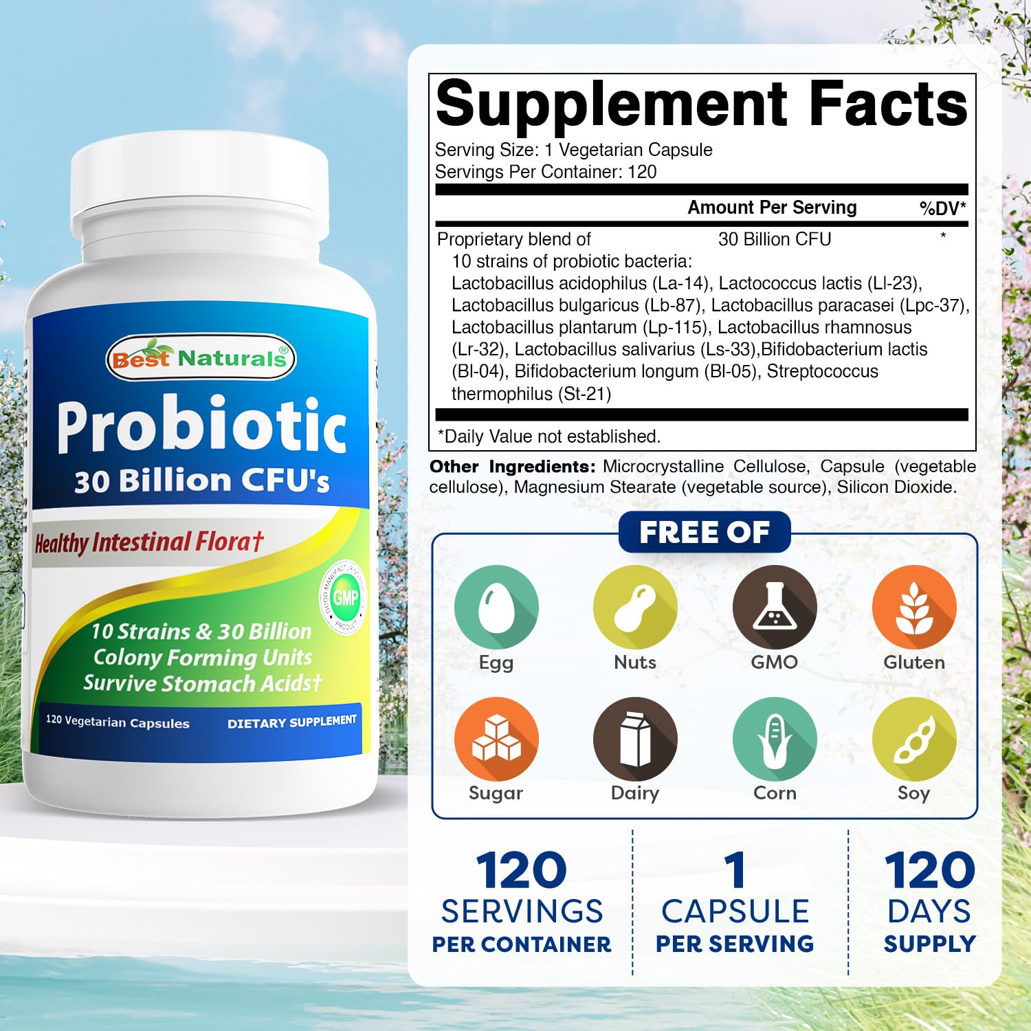 Best Naturals Probiotic bottle back showing strains and dosage information