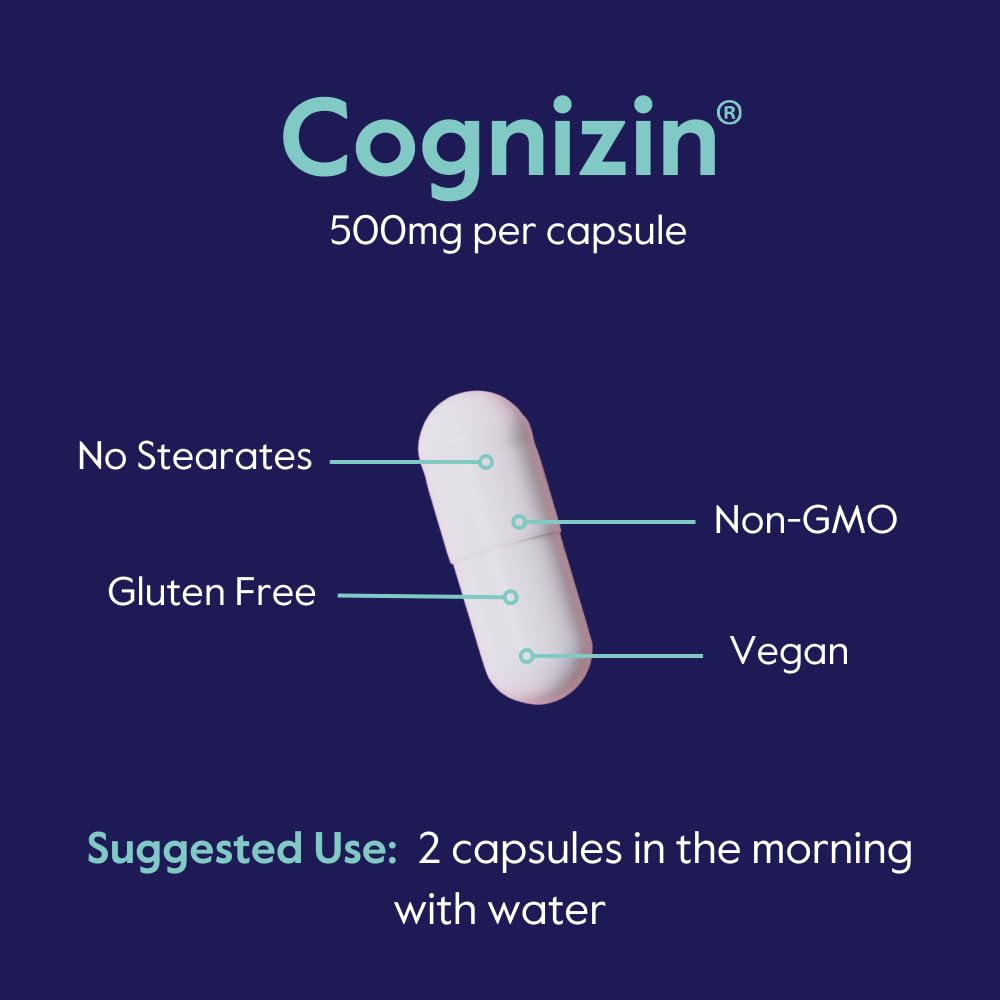 NSF GMP-certified manufacturing area for BESTVITE Cognizin production quality.