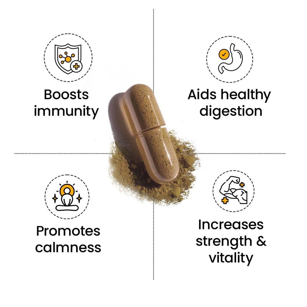 Better Alt All-in-One Vitality Formula: Iris Sea Moss 3000mg, Black Se ...