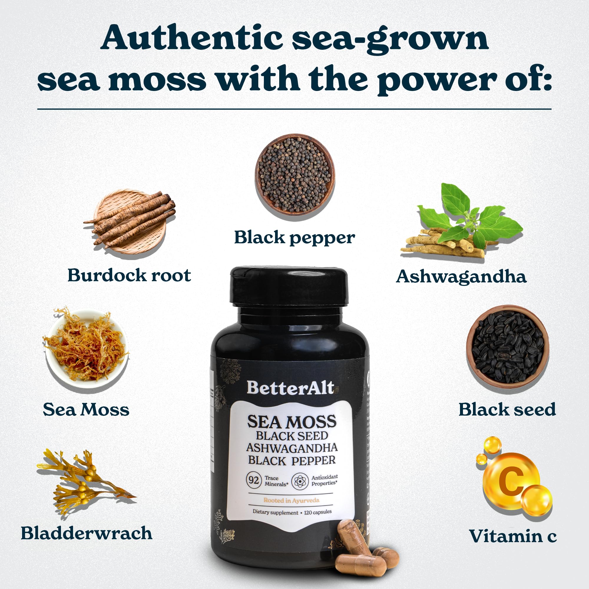 Better Alt bladderwrack-burdock-root-bottle showcasing plant nutrients for overall vitality