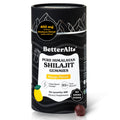 Better Alt Pure Himalayan Shilajit Gummies – High Potency Mango Flavor, 60 Gummies