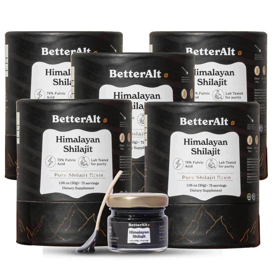 Better Alt Pure Himalayan Shilajit resin pack with gold grade formula for energy support.