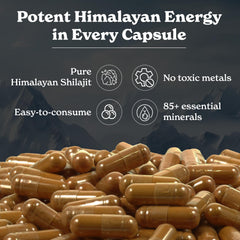 Better Alt Shilajit Capsules fulvic-acid rich formulation aids absorption